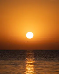 Sunset SUP Tours